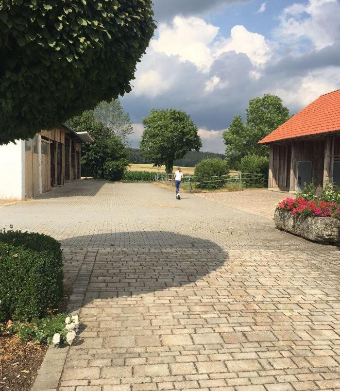 Ferienwohnung Baumgartner Ursensollen Exterior photo